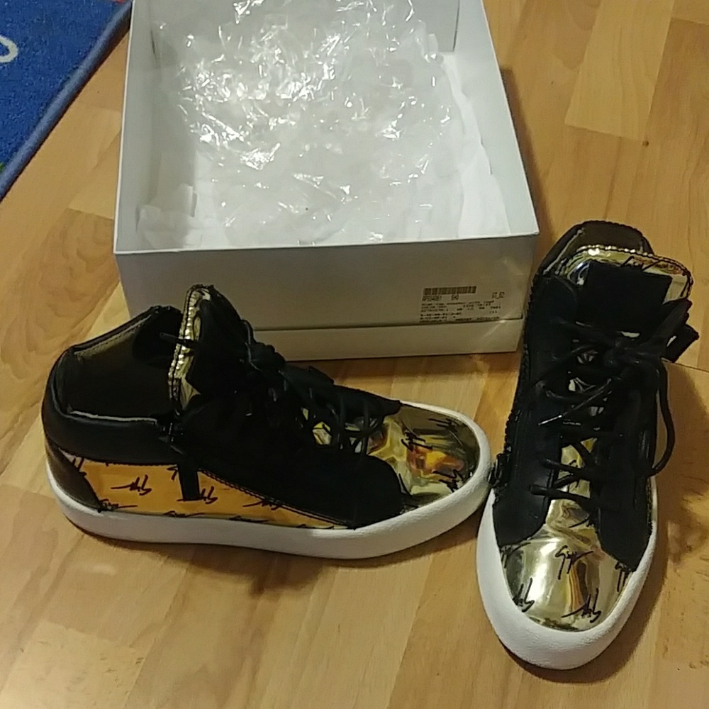 Giuseppe gianotti's